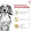 Royal Canin Dachshund Adult Breed Specific Dry Dog Food, 10 Lb bag(2.5 Pound (Pack of 1))