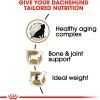 Royal Canin Dachshund Adult Breed Specific Dry Dog Food, 10 Lb bag(3 Pound (Pack of 1))