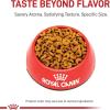 Royal Canin Feline Breed Nutrition American Shorthair Adult Dry Cat Food, 5.5 lb Bag(5.5 Pound (Pack of 1))