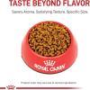 Royal Canin Feline Breed Nutrition Bengal Adult Dry Cat Food, 7 lb Bag