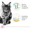 Royal Canin Feline Breed Nutrition Maine Coon Adult Thin Slices in Gravy Cat Food, 3 oz (Pack of 24)(3 Ounce (Pack of 4))