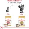 Royal Canin Feline Breed Nutrition Maine Coon Adult Thin Slices in Gravy Cat Food, 3 oz (Pack of 24)(3 Ounce (Pack of 4))