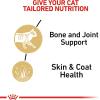 Royal Canin Feline Breed Nutrition Maine Coon Adult Thin Slices in Gravy Cat Food, 3 oz (Pack of 24)(3 Ounce (Pack of 6))