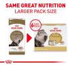 Royal Canin Feline Breed Nutrition Maine Coon Adult Thin Slices in Gravy Cat Food, 3 oz (Pack of 24)(3 Ounce (Pack of 6))