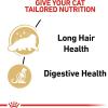 Royal Canin Feline Breed Nutrition Persian Kitten Dry Cat Food, 3 lb Bag(3 Ounce (Pack of 24))
