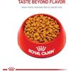 Royal Canin Feline Breed Nutrition Persian Kitten Dry Cat Food, 3 lb Bag(7 Pound (Pack of 1))