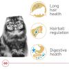 Royal Canin Feline Breed Nutrition Persian Kitten Dry Cat Food, 3 lb Bag(7 Pound (Pack of 1))
