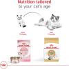 Royal Canin Feline Breed Nutrition Ragdoll Adult Dry Cat Food, 7 lb Bag