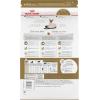 Royal Canin Feline Breed Nutrition Siamese Adult Dry Cat Food, 6 lb Bag(2.5 Pound (Pack of 1))