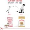 Royal Canin Feline Breed Nutrition Siamese Adult Dry Cat Food, 6 lb Bag(6 Pound (Pack of 1))