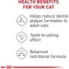 Royal Canin Feline Care Nutrition Dental Care Adult Dry Cat Food, 6 lb Bag(3 Pound (Pack of 1))