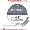 Royal Canin Feline Care Nutrition Dental Care Adult Dry Cat Food, 6 lb Bag(6 Pound (Pack of 1))
