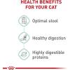 Royal Canin Feline Care Nutrition Digestive Care Adult Dry Cat Food, 3 lb Bag(6 Pounds (Pack of 1))