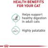 Royal Canin Feline Care Nutrition Digestive Care Adult Thin Slices in Gravy and Loaf in Sauce Cat Food, 3 oz (Pack of 12)(1 Count (Pack of 12))