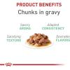 Royal Canin Feline Care Nutrition Digestive Care Adult Thin Slices in Gravy and Loaf in Sauce Cat Food, 3 oz (Pack of 12)(3 Ounce (Pack of 12))