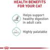 Royal Canin Feline Care Nutrition Digestive Care Adult Thin Slices in Gravy and Loaf in Sauce Cat Food, 3 oz (Pack of 12)(3 Ounce (Pack of 12))