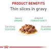 Royal Canin Feline Care Nutrition Digestive Care Adult Thin Slices in Gravy and Loaf in Sauce Cat Food, 3 oz (Pack of 12)(3 Ounce (Pack of 6))
