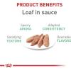 Royal Canin Feline Care Nutrition Digestive Care Adult Thin Slices in Gravy and Loaf in Sauce Cat Food, 3 oz (Pack of 12)(5.1 Ounce (Pack of 24))