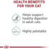 Royal Canin Feline Care Nutrition Digestive Care Adult Thin Slices in Gravy and Loaf in Sauce Cat Food, 3 oz (Pack of 12)(5.1 Ounce (Pack of 24))