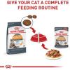 Royal Canin Feline Care Nutrition Hair & Skin Care Adult Loaf in Sauce Cat Food, 5.1 oz (Pack of 24)(3 Ounce (Pack of 12))