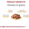 Royal Canin Feline Care Nutrition Hair & Skin Care Adult Loaf in Sauce Cat Food, 5.1 oz (Pack of 24)(3 Ounce (Pack of 12))
