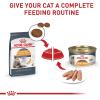 Royal Canin Feline Care Nutrition Hair & Skin Care Adult Loaf in Sauce Cat Food, 5.1 oz (Pack of 24)(3 Ounce (Pack of 24))