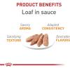 Royal Canin Feline Care Nutrition Hair & Skin Care Adult Loaf in Sauce Cat Food, 5.1 oz (Pack of 24)(3 Ounce (Pack of 24))