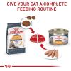 Royal Canin Feline Care Nutrition Hair & Skin Care Adult Loaf in Sauce Cat Food, 5.1 oz (Pack of 24)(5.1 Ounce (Pack of 24))
