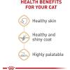 Royal Canin Feline Care Nutrition Hair & Skin Care Adult Loaf in Sauce Cat Food, 5.1 oz (Pack of 24)(5.1 Ounce (Pack of 24))