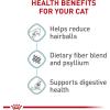 Royal Canin Feline Care Nutrition Hairball Care Adult Dry Cat Food, 6 lb Bag(3 Pound (Pack of 1))