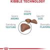 Royal Canin Feline Care Nutrition Hairball Care Adult Dry Cat Food, 6 lb Bag(6 Pound (Pack of 1))
