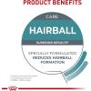 Royal Canin Feline Care Nutrition Hairball Care Adult Dry Cat Food, 6 lb Bag(6 Pound (Pack of 1))