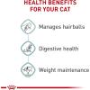 Royal Canin Feline Care Nutrition Hairball Care Adult Thin Slices in Gravy Cat Food, 3 oz (Pack of 6)(3 Ounce (Pack of 12))