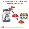 Royal Canin Feline Care Nutrition Hairball Care Adult Thin Slices in Gravy Cat Food, 3 oz (Pack of 6)(3 Ounce (Pack of 24))
