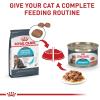 Royal Canin Feline Care Nutrition Urinary Care Adult Thin Slices in Gravy Cat Food, 3 oz (Pack of 12)(0.21 Ounce (Pack of 24))