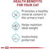 Royal Canin Feline Care Nutrition Urinary Care Adult Thin Slices in Gravy Cat Food, 3 oz (Pack of 12)(0.21 Ounce (Pack of 24))