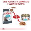 Royal Canin Feline Care Nutrition Urinary Care Adult Thin Slices in Gravy Cat Food, 3 oz (Pack of 12)(3 Ounce (Pack of 24))