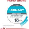 Royal Canin Feline Care Nutrition Urinary Care Adult Thin Slices in Gravy Cat Food, 3 oz (Pack of 12)(3 Ounce (Pack of 6))