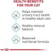 Royal Canin Feline Care Nutrition Urinary Care Adult Thin Slices in Gravy Cat Food, 3 oz (Pack of 12)(3 Pound (Pack of 1))