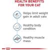 Royal Canin Feline Care Nutrition Weight Care Adult Dry Cat Food, 6 lb Bag(3 Pound (Pack of 1))