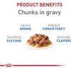 Royal Canin Feline Care Nutrition Weight Care Adult Loaf in Sauce Cat Food, 3 oz (Pack of 24)(1 Count (Pack of 12))