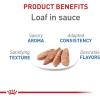 Royal Canin Feline Care Nutrition Weight Care Adult Loaf in Sauce Cat Food, 3 oz (Pack of 24)(1 Count (Pack of 24))