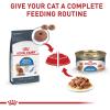 Royal Canin Feline Care Nutrition Weight Care Adult Loaf in Sauce Cat Food, 3 oz (Pack of 24)(3 Ounce (Pack of 24))