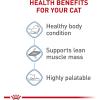Royal Canin Feline Care Nutrition Weight Care Adult Loaf in Sauce Cat Food, 3 oz (Pack of 24)(3 Ounce (Pack of 6))