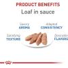 Royal Canin Feline Care Nutrition Weight Care Adult Loaf in Sauce Cat Food, 3 oz (Pack of 24)(5.1 Ounce (Pack of 24))