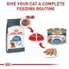 Royal Canin Feline Care Nutrition Weight Care Adult Loaf in Sauce Cat Food, 3 oz (Pack of 24)(5.1 Ounce (Pack of 24))