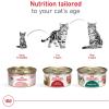 Royal Canin Feline Health Nutrition Adult Instinctive Adult Loaf in Sauce Cat Food, 3 oz (Pack of 24)(1 Count (Pack of 12))