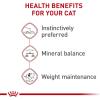 Royal Canin Feline Health Nutrition Adult Instinctive Adult Loaf in Sauce Cat Food, 3 oz (Pack of 24)(1 Count (Pack of 12))