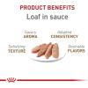 Royal Canin Feline Health Nutrition Aging 12+ Senior Loaf in Sauce Cat Food, 5.1 oz (Pack of 24)