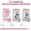 Royal Canin Feline Health Nutrition Indoor Adult Dry Cat Food, 3 lb Bag(15 Pound (Pack of 1))